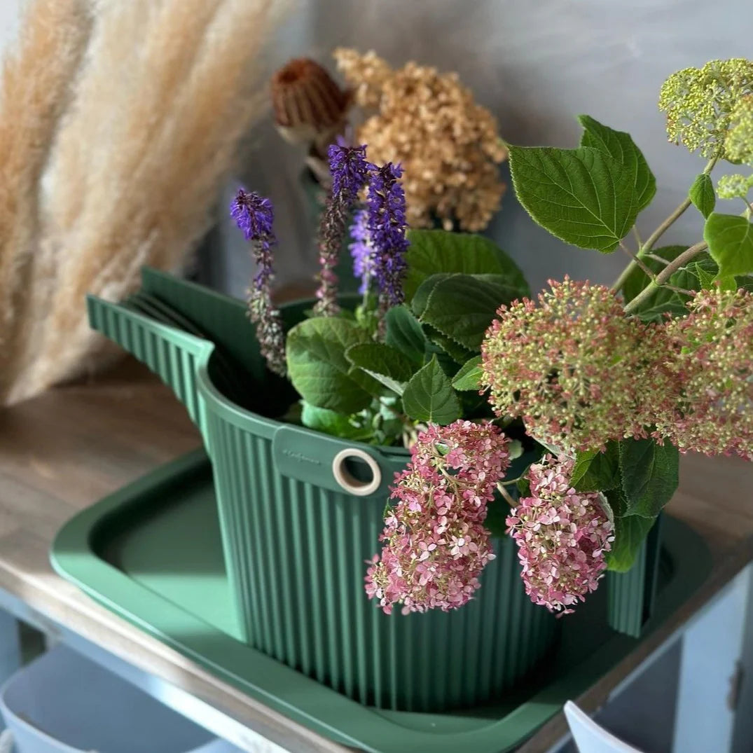 Beetle Watering Can 5L | Green