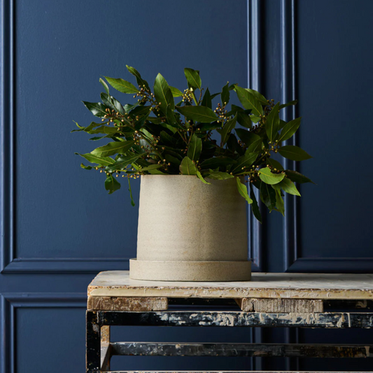 Garden to Table Planter with Tray
