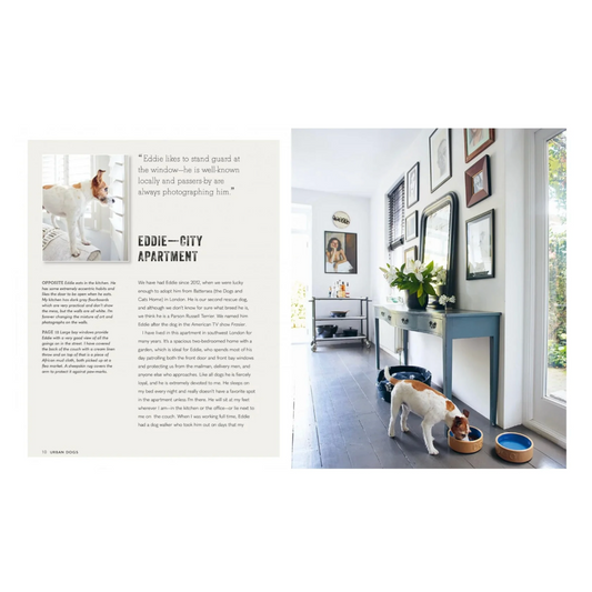 Cool Dogs, Cool Homes | Geraldine James