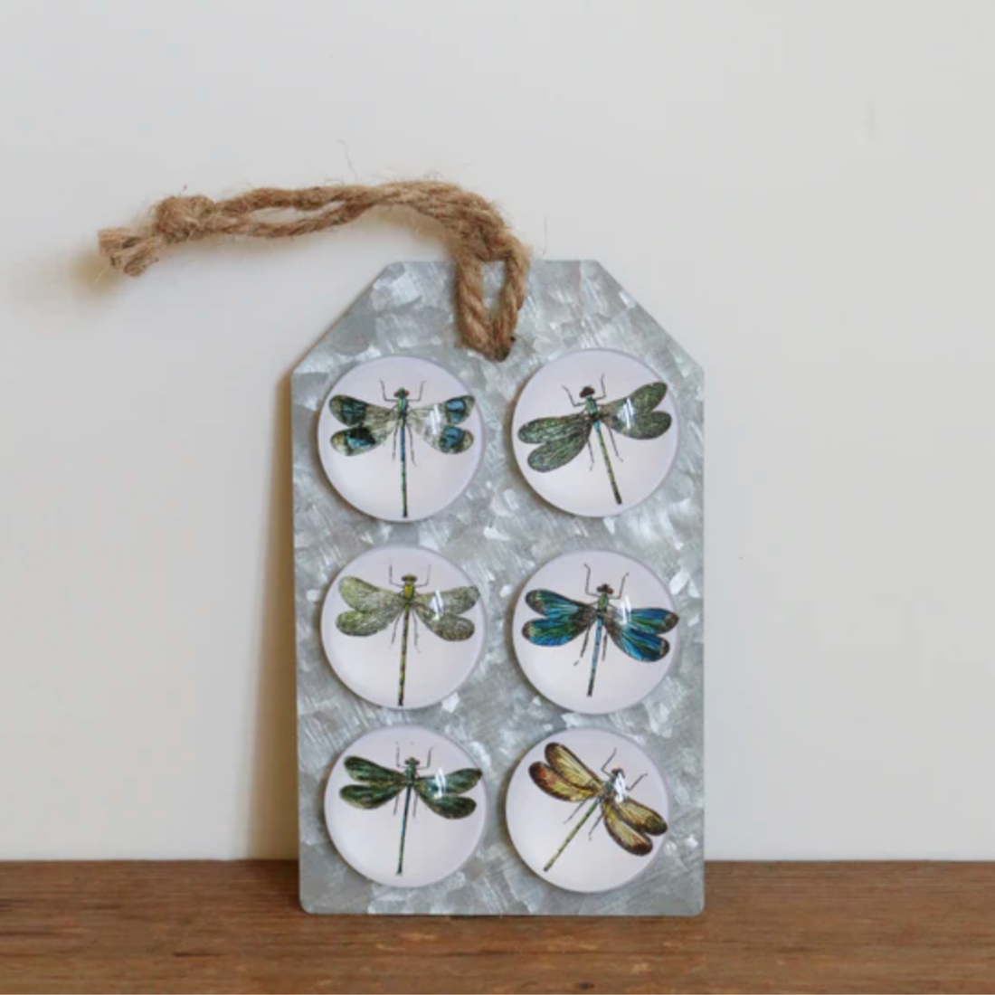 Dragonfly Magnets