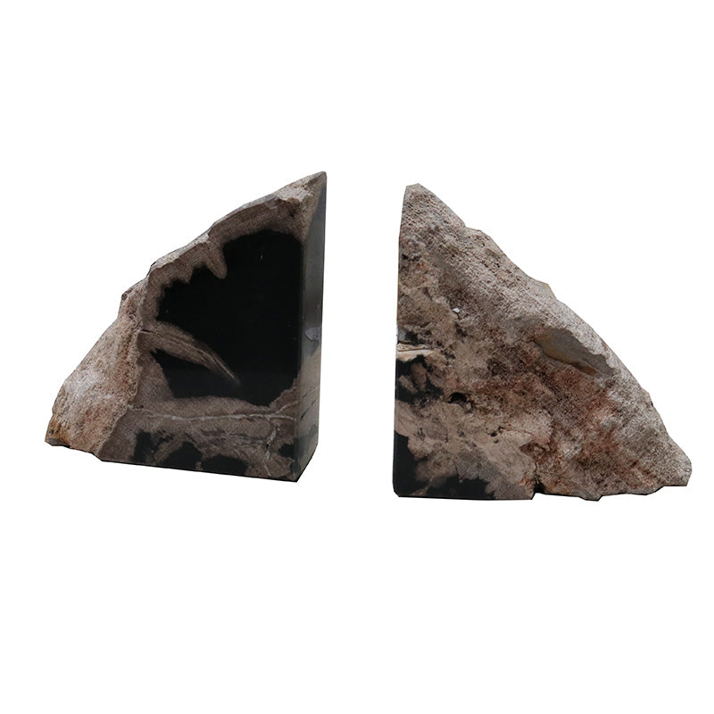 Petrified Wood Bookends