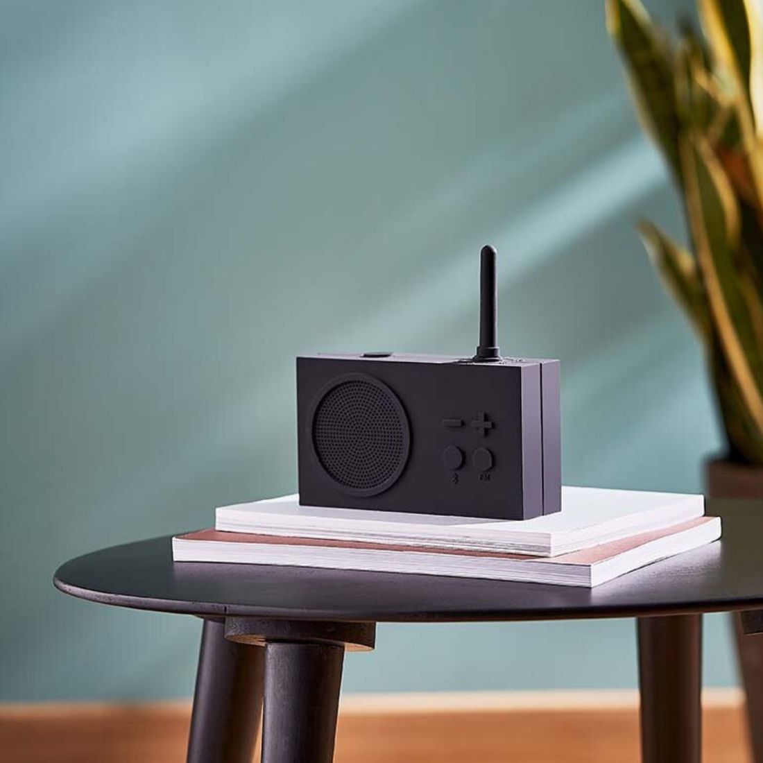 Dark grey portable radio sitting on books with a blurred green background and plant to the side