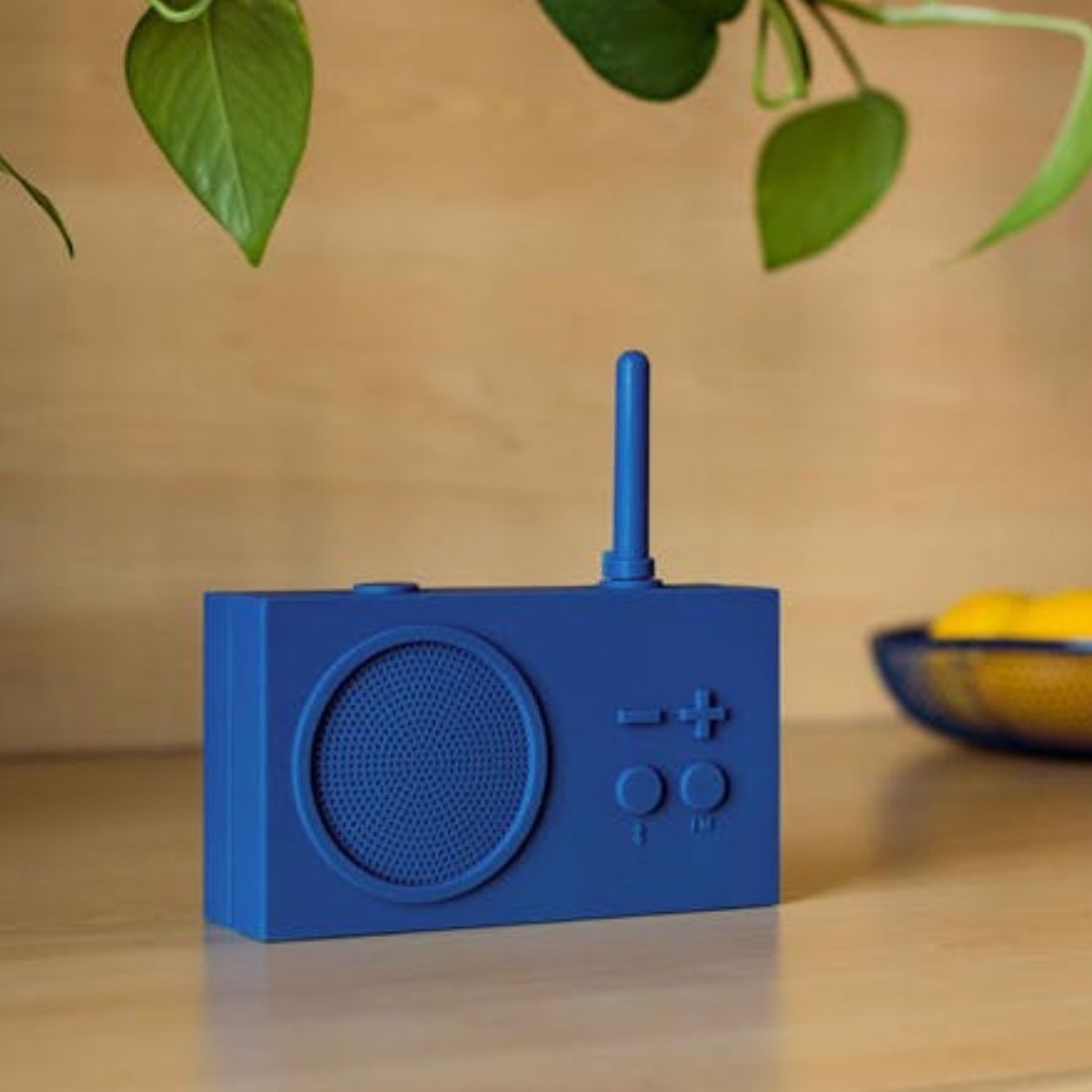 Dark blue portable radio on a wooden surface with a plant in the background