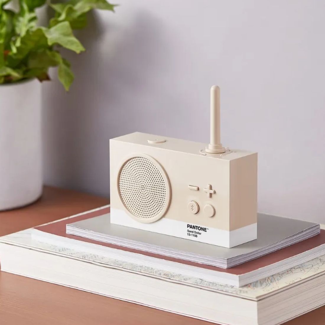 Beige portable radio with antenna on a stack of books, next to a plant
