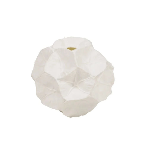 Star Studded Seed Pod Vase - White