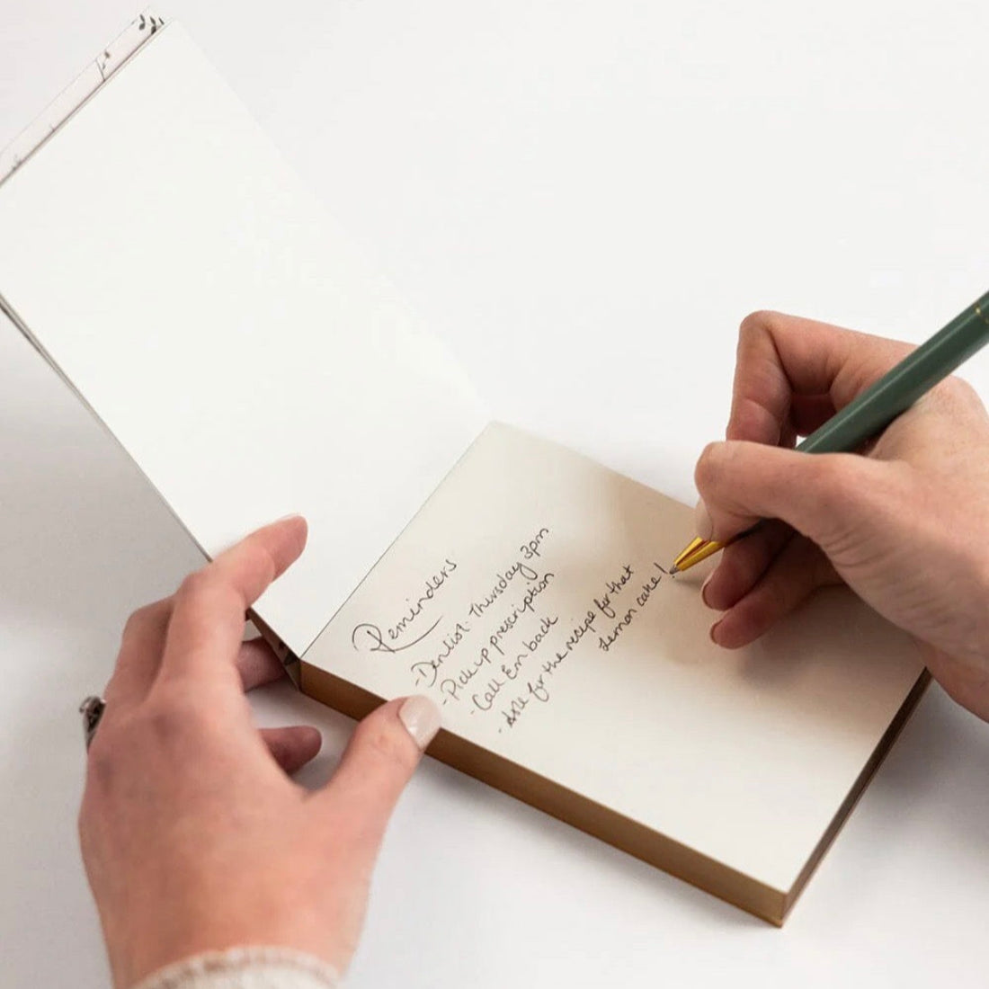 Mini Notepad Jotter - Button Fern