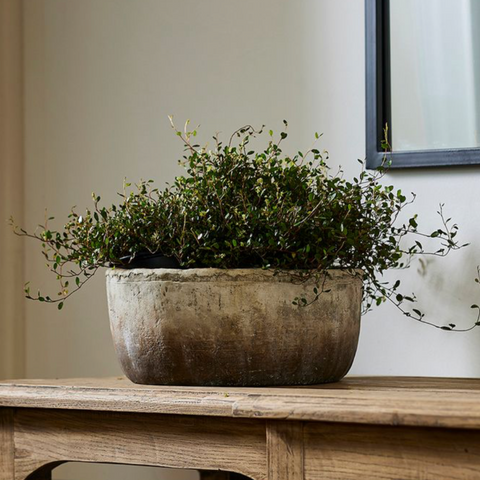 Marron Planter Bowl Small