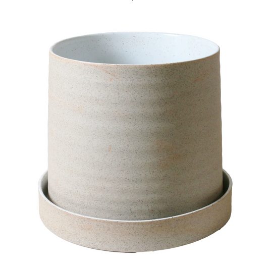 Garden to Table Planter with Tray