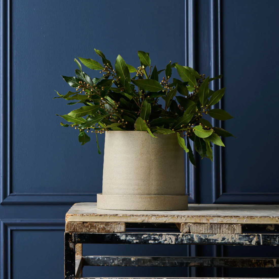 Garden to Table Planter with Tray