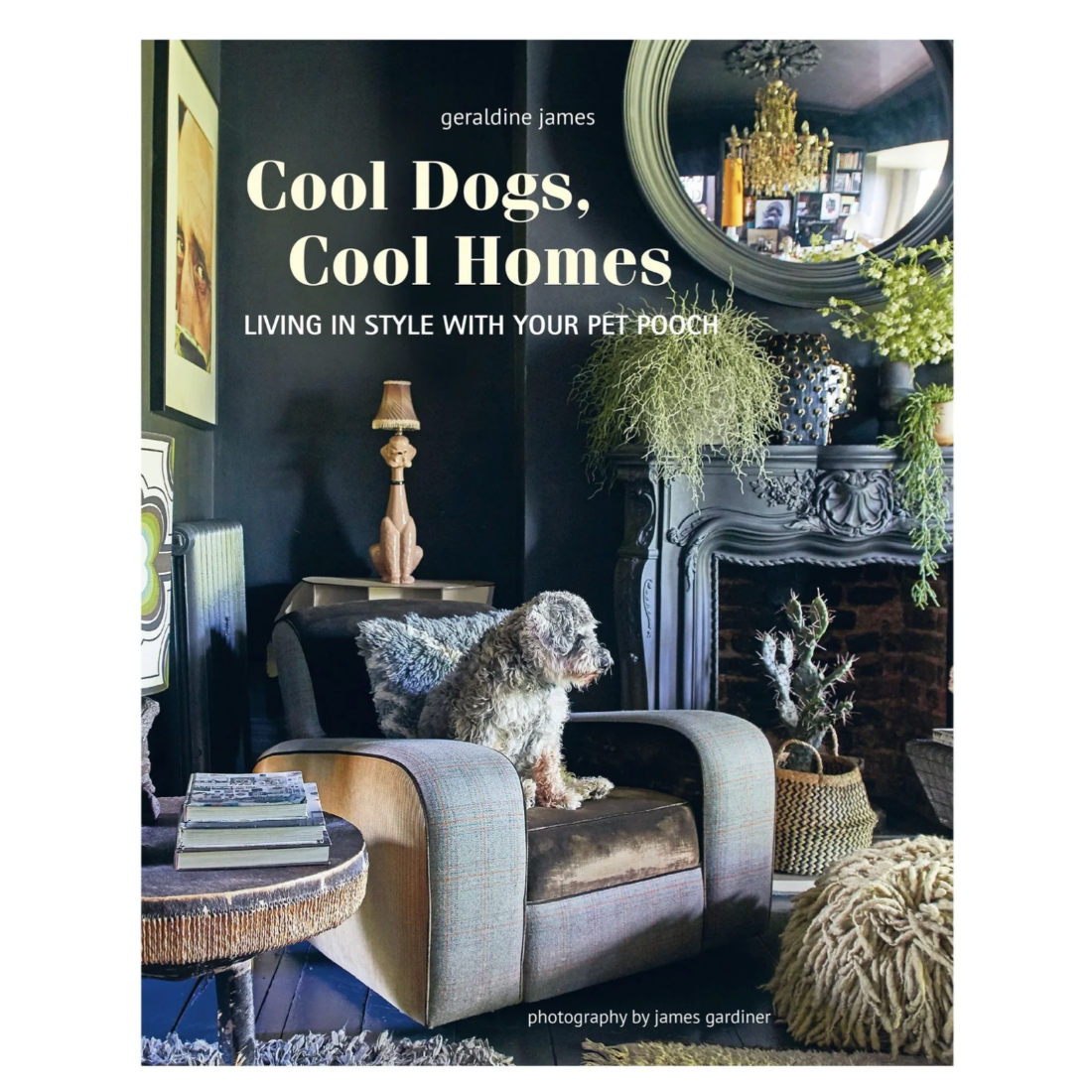 Cool Dogs, Cool Homes