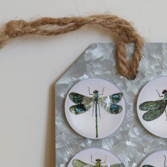 Dragonfly Magnets