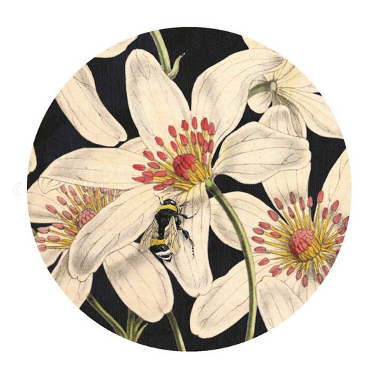 Clematis Cosmetic Mirror