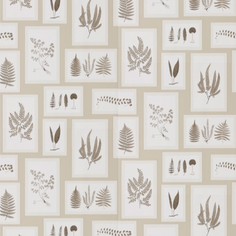 Sanderson Wallpaper Fern Gallery 215714 (5 Rolls Only)