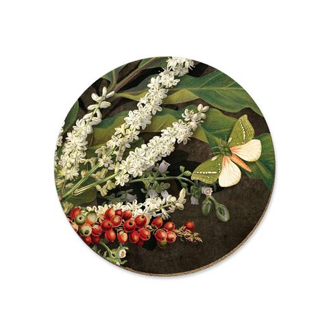 Nikau Berries Coaster