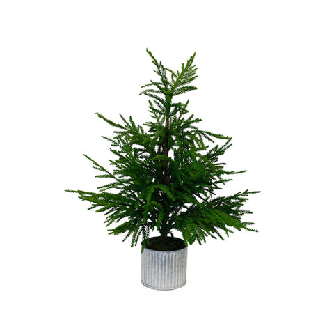 Potted Pine Christmas Tree 71cm