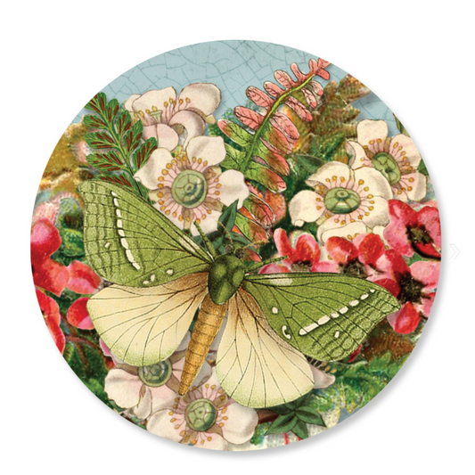 Cosmetic Mirror | Puriri Moth