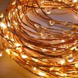 Seed Lights Copper Wire Plug In - 20m