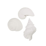 Shell Wall Vases - Set of 3